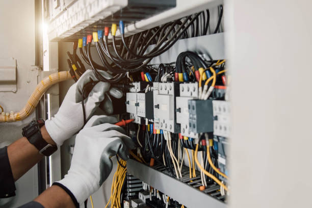 Best Electric Panel Repair  in Crandon, WI